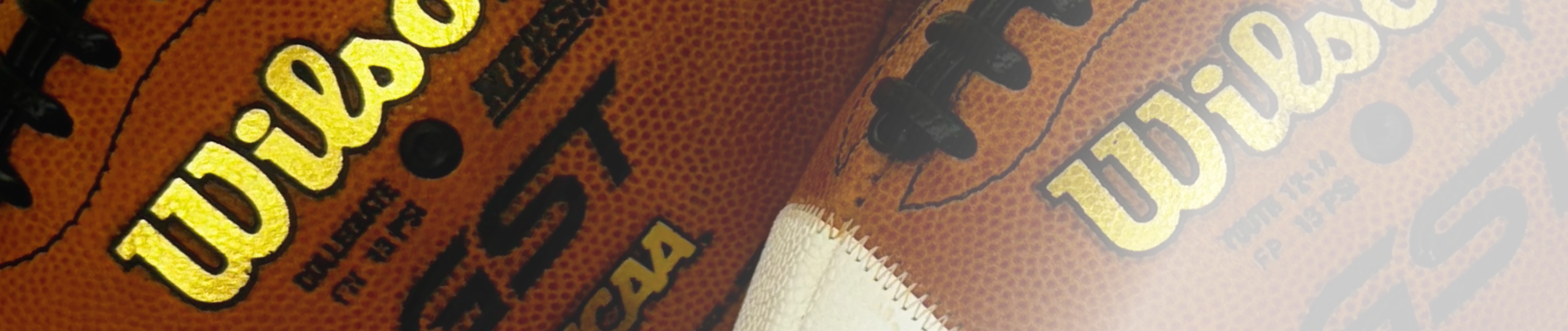 Wilson Footballs